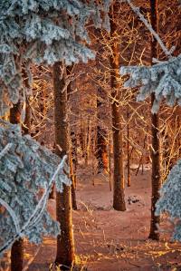 Farbenkreaeftiger Sonnenuntergang knapp ueber dem Nebelmeer (nach 1 ganzen Tag im dichten Nebel)! Spazieren mit Balou.
