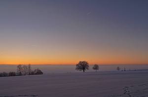 Farbenkreaeftiger Sonnenuntergang knapp ueber dem Nebelmeer (nach 1 ganzen Tag im dichten Nebel)! Spazieren mit Balou.