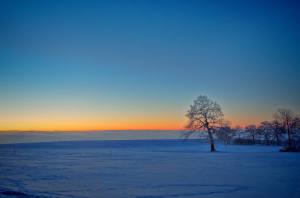 Farbenkreaeftiger Sonnenuntergang knapp ueber dem Nebelmeer (nach 1 ganzen Tag im dichten Nebel)! Spazieren mit Balou.