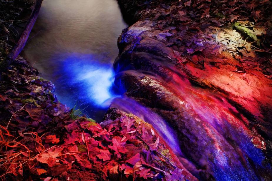 Wasserzauber am Baldeggersee