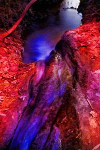 Impressionen Ligth Painting (Lichtmalen) mit Taschenlampe und Farbfilter am Ufer des Baldeggersees Nähe Baldegg/LU.