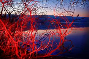 Impressionen Ligth Painting (Lichtmalen) mit Taschenlampe und Farbfilter am Ufer des Baldeggersees Nähe Baldegg/LU.