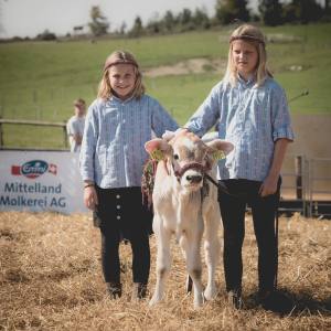 Impressionen vom Kälberwettbewerb HORBA 2017 Aargauer kantonale Braunviehausstellung auf dem Horben bei Beinwil/Freiamt.