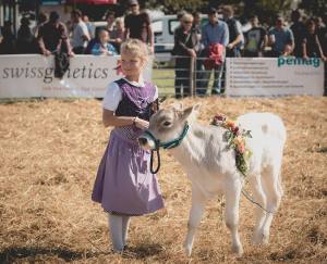 Impressionen vom Kälberwettbewerb HORBA 2017 Aargauer kantonale Braunviehausstellung auf dem Horben bei Beinwil/Freiamt.