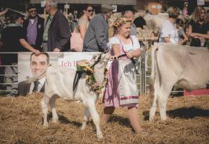 Impressionen vom Kälberwettbewerb HORBA 2017 Aargauer kantonale Braunviehausstellung auf dem Horben bei Beinwil/Freiamt.