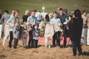 Impressionen vom Kälberwettbewerb HORBA 2017 Aargauer kantonale Braunviehausstellung auf dem Horben bei Beinwil/Freiamt.