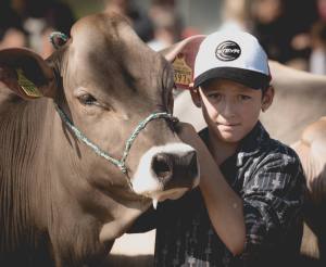 Betriebscup: Präsentation der Kandidatinnen - immer im Trio