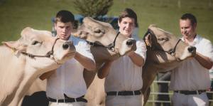 Betriebscup: Präsentation der Kandidatinnen - Trio mit den Abt-Drillingen