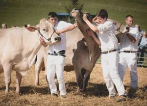 Betriebscup: Präsentation der Kandidatinnen - Trio mit den Abt-Drillingen