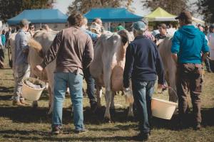 Shit happens: Das lange Warten auf den Mist...