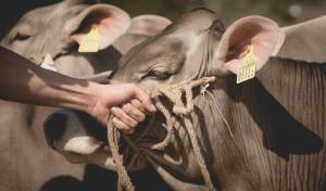 Betriebscup: Präsentation der Kandidatinnen - immer im Trio