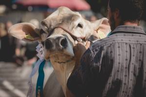 Betriebscup: Präsentation der Kandidatinnen - immer im Trio