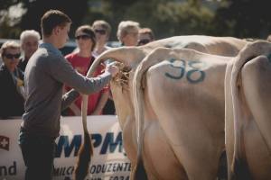 Shit happens: Betriebscup: Präsentation der Kandidatinnen - immer im Trio