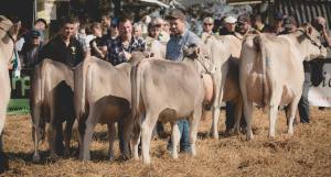 Betriebscup: Präsentation der Kandidatinnen - immer im Trio