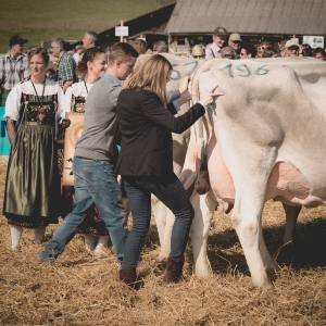 Prämierung Betriebscup: Präsentation der Kandidatinnen - immer im Trio