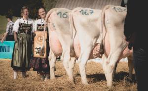 Prämierung Betriebscup: Präsentation der Kandidatinnen - immer im Trio