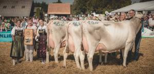 Prämierung Betriebscup: Präsentation der Kandidatinnen - immer im Trio