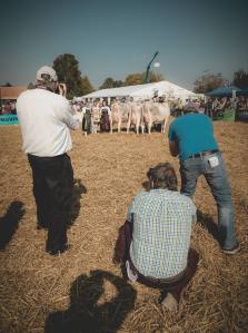 Prämierung Betriebscup: Präsentation der Kandidatinnen - immer im Trio