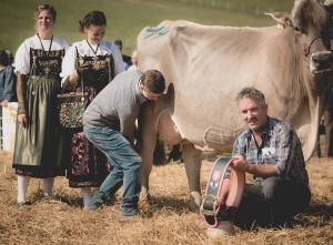 Gina - Miss Protein: Impressionen HORBA 2017 Aargauer kantonale Braunviehausstellung auf dem Horben bei Beinwil/Freiamt.