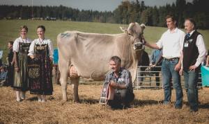 Gina - Miss Protein: Impressionen HORBA 2017 Aargauer kantonale Braunviehausstellung auf dem Horben bei Beinwil/Freiamt.