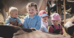 Impressionen HORBA 2017 Aargauer kantonale Braunviehausstellung auf dem Horben bei Beinwil/Freiamt.