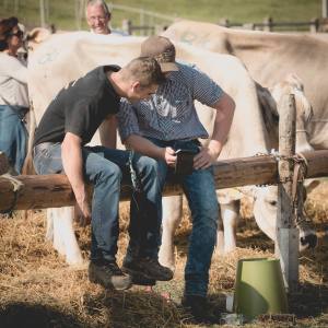 Impressionen HORBA 2017 Aargauer kantonale Braunviehausstellung auf dem Horben bei Beinwil/Freiamt.