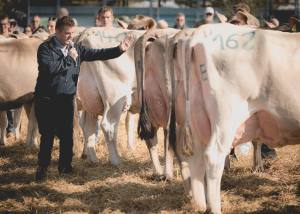 Prämierung: Impressionen HORBA 2017 Aargauer kantonale Braunviehausstellung auf dem Horben bei Beinwil/Freiamt.