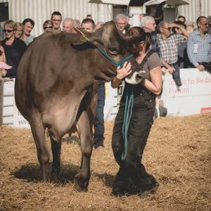 Siegerkuss für Petunia - Miss Genetik UND Miss HORBA: Impressionen HORBA 2017 Aargauer kantonale Braunviehausstellung auf dem Horben bei Beinwil/Freiamt.