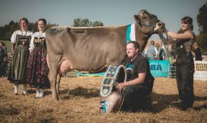 Petunia - Miss Genetik UND Miss HORBA: Impressionen HORBA 2017 Aargauer kantonale Braunviehausstellung auf dem Horben bei Beinwil/Freiamt.