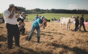 Gina - Miss Protein im Fokus der Fotografen: Impressionen HORBA 2017 Aargauer kantonale Braunviehausstellung auf dem Horben bei Beinwil/Freiamt.