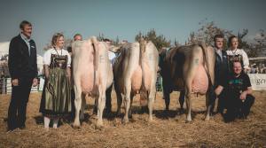 Siegerehrung Miss Horba 2017: Impressionen HORBA 2017 Aargauer kantonale Braunviehausstellung auf dem Horben bei Beinwil/Freiamt.