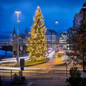 Wie ein Fels in der Brandung: Christbaum am Schweizerhofquai