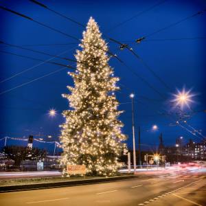Wie ein Fels in der Brandung: Christbaum am Schweizerhofquai
