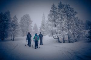 Schneewandern im tiefverschneiten und saukalten (-9Grad) Schwendi-Kaltbad Glaubenberg/OW.
