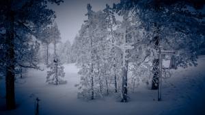 Winterwanderweg im tiefverschneiten und saukalten (-9Grad) Schwendi-Kaltbad Glaubenberg/OW.