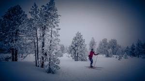 Langlauf im tiefverschneiten und kalten (-9Grad) Schwendi-Kaltbad Glaubenberg/OW.