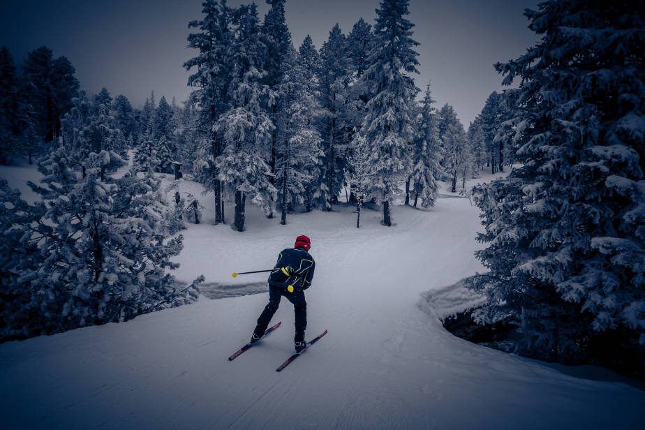 Schussfahrt durch die verschneite Winterlandschaft