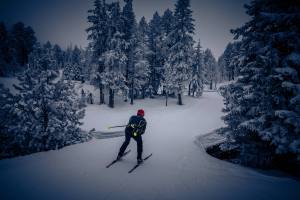 Winterliche Idylle auf dem Moorbärpfad im tiefverschneiten Kaltbad.
