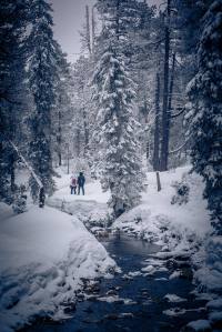 Winterliche Idylle auf dem Moorbärpfad im tiefverschneiten Kaltbad.