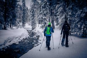 Winterliche Idylle auf dem Moorbärpfad im tiefverschneiten Kaltbad.
