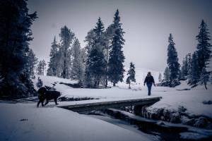Balou mit Esther unterwegs im tiefverschneiten und saukalten (-9Grad) Schwendi-Kaltbad Glaubenberg/OW.