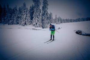 Winterliche Idylle auf dem Moorbärpfad im tiefverschneiten Kaltbad.
