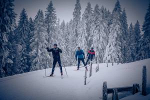 Winterliche Idylle im tiefverschneiten Langis-Kaltbad.