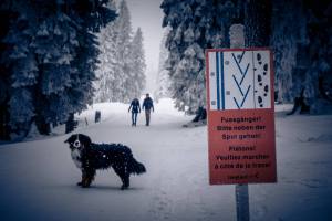 Winterliche Idylle im tiefverschneiten Langis-Kaltbad.