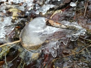 Eiskreationen am Baldeggersee (Smartphonephoto by Esther Studhalter)