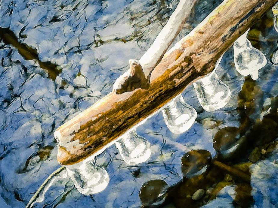 Gefrorene Wassertropfen am Baldeggersee (Smartphonephoto by Esther Studhalter)