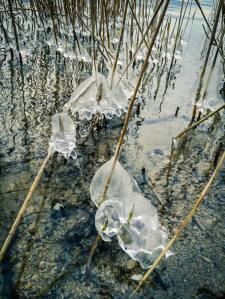 Eiskreationen am Baldeggersee (Smartphonephoto by Esther Studhalter)