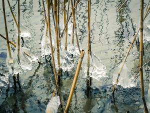 Eiskreationen am Baldeggersee (Smartphonephoto by Esther Studhalter)