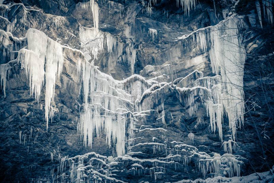 Eiskalte Schönheiten