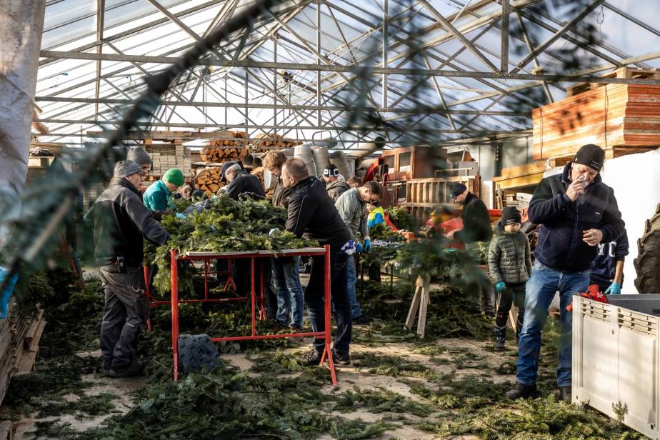 Die Metamorphose der&nbsp;Enzilochmannen